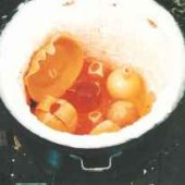 raku1